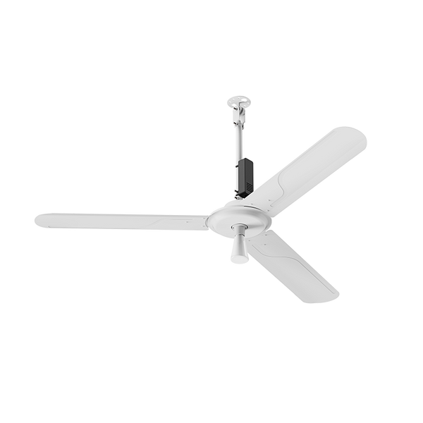 XC Series BLDC Ceiling Fan With Light - External Bulb