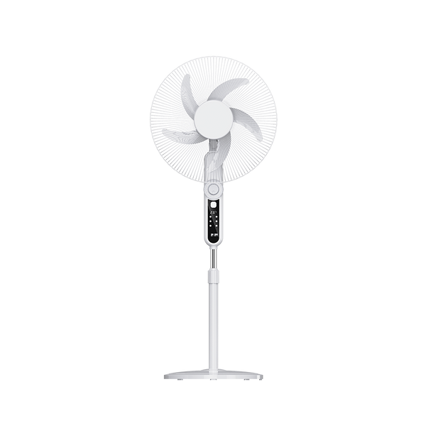 Stand Fan