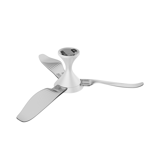 XC Series BLDC Ceiling Fan With Light - Wings Of Seagull