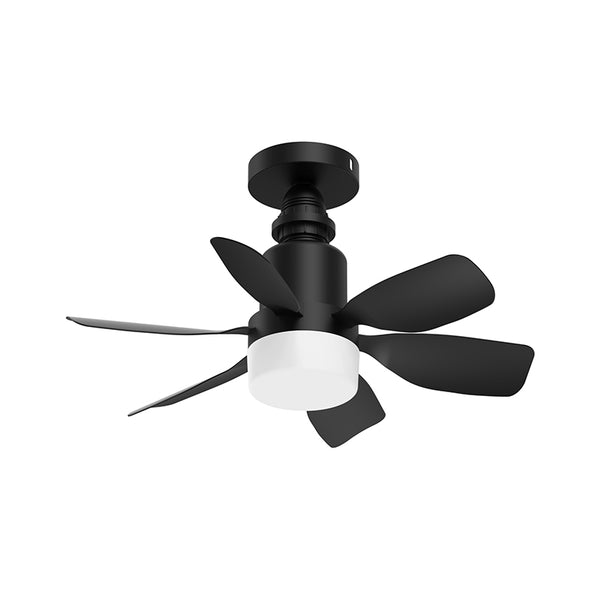 XSC 02 E27 Screw Small Fan With Light