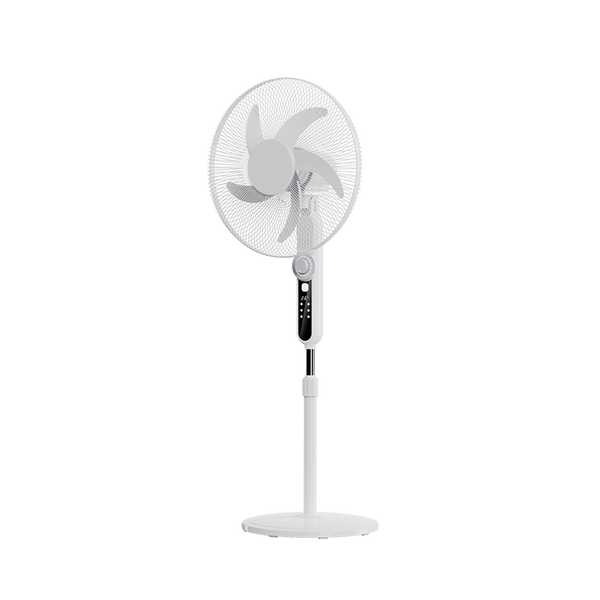 Stand Fan