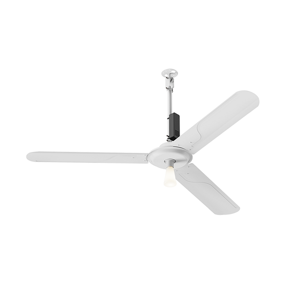 XC Series BLDC Ceiling Fan With Light - External Bulb