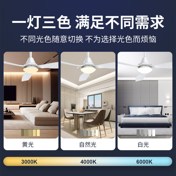 XC Series BLDC Ceiling Fan with Light