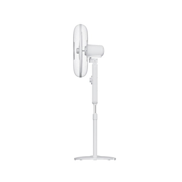 Stand Fan