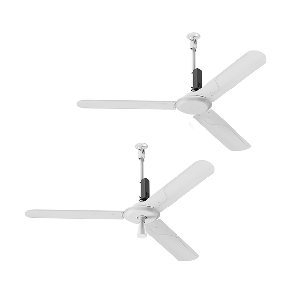 XC Series BLDC Ceiling Fan With Light - External Bulb